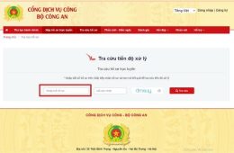 Thủ Tục Xin Công Văn Nhập Cảnh Online Qua Cổng Dịch Vụ Công