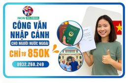 Phân Biệt Công Văn Nhập Cảnh, E-Visa và Visa