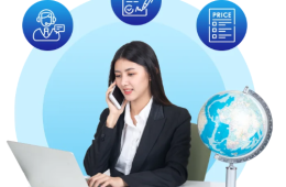 Hồ Sơ Hợp Pháp Hóa Lãnh Sự Bị Từ Chối? Nguyên Nhân và Giải Pháp