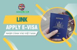 Xin E-visa cho người nước ngoài